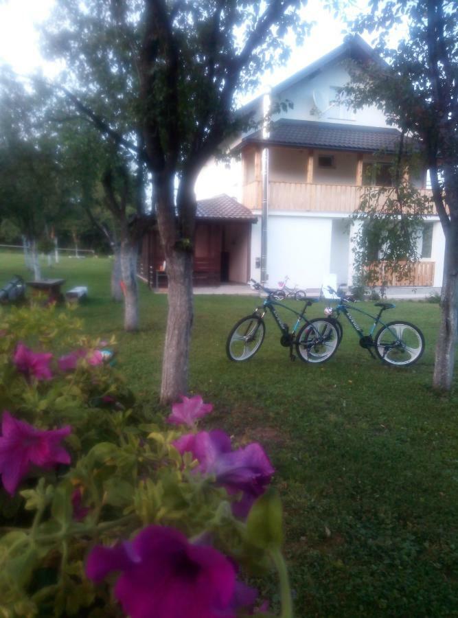 Apartments Paradise Licko Petrovo Selo Buitenkant foto
